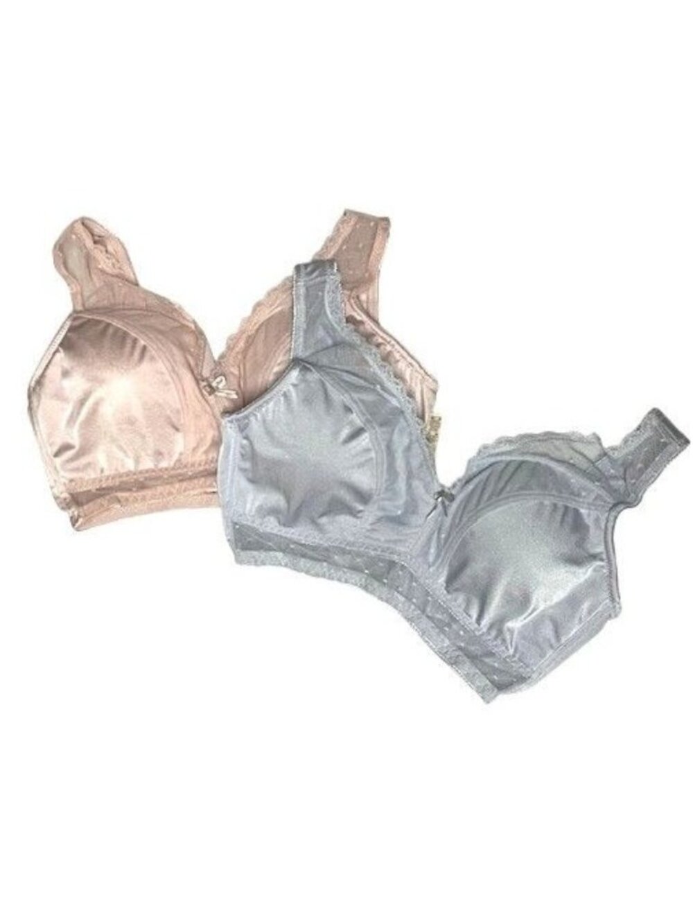Rhonda Shear Mesh Dot Pin-Up Bra 2 Pk LARGE